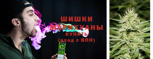 прущие грибы Кодинск
