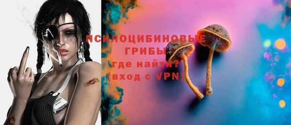 прущие грибы Кодинск
