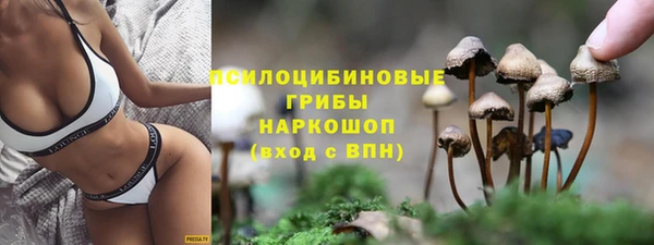 прущие грибы Кодинск