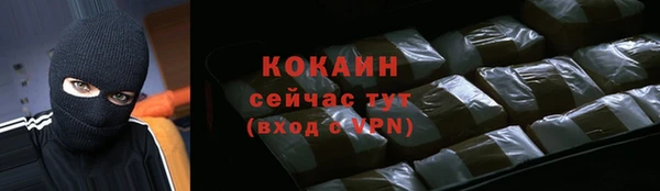крисы Козловка