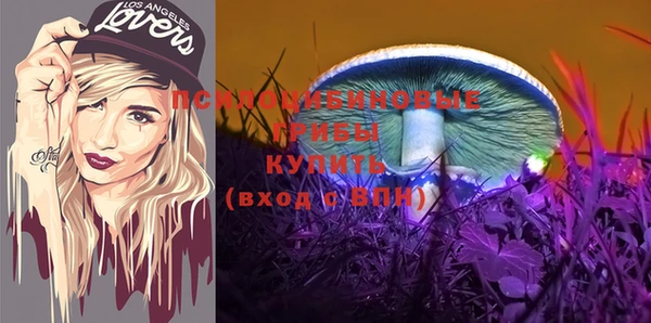 крисы Козловка