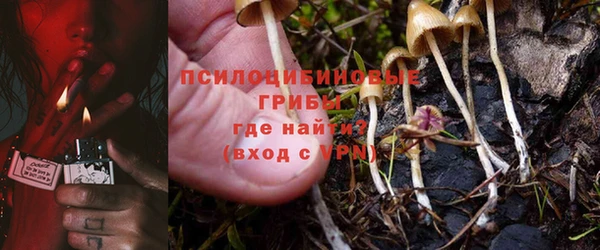 крисы Козловка