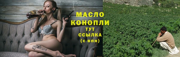 крисы Козловка