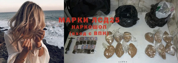 прущие грибы Кодинск