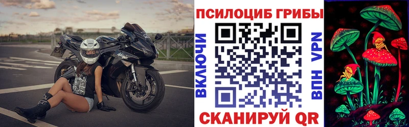 Купить где  Заполярный  Псилоцибиновые грибы Psilocybe 